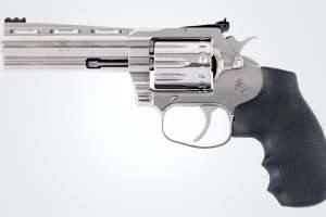 Colt Baby Snake