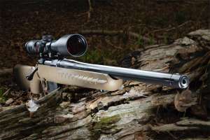 Copy of Ranch rifle in the shade