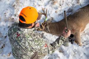 Deer Hunting