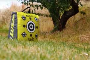 Delta Wedgie target beauty 190104 122148