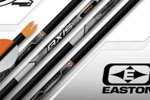 Easton Axis SPT beauty 190104 122129