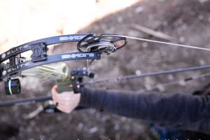 Elite Bow Report 2 cropped