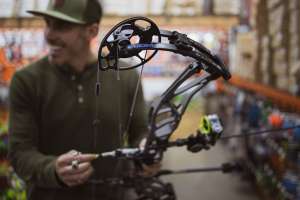 Elite Shipping bows lead