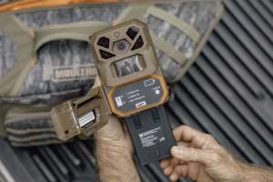 FE Cell Cams 2 U5 A0549