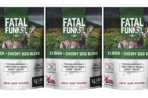 Fatal Funnel seed mix