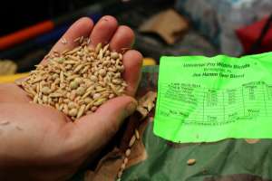 Food Plot Seed Blend