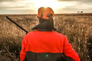 Gamehide pheasant hunting