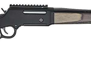 Henry 223