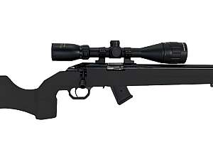 Howa M1100 rimfire