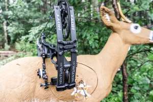 Hoyt 2 cropped