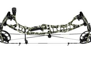 Hoyt VTM lead pic