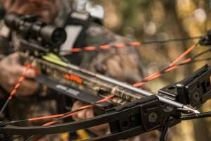 Hybrid and mechanical broadheads 190104 121901