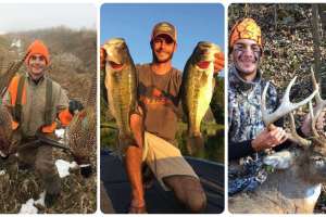 Jack Gavin collage