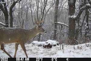 Kansas trail cam ban