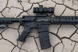 Leupold RDS Black Label optic