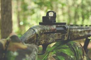 Leupold vlcsnap 2016 05 31 10h02m31s026 copy