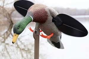 MOJO decoy