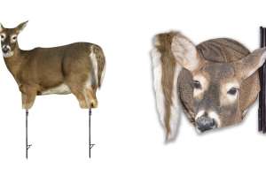 Montana Decoy Trixie collage