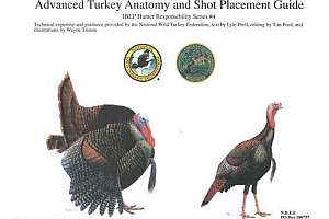 NBEF turkey guide