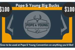P and Y bucks