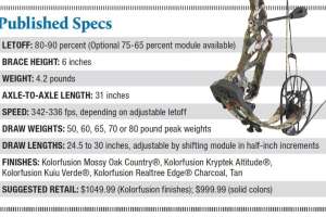 PSE Evoke 31 specs 1025x648