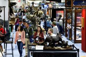 SCI Convention show floor Photo by SCI