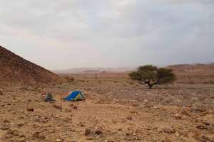 Sierra Designs Camping
