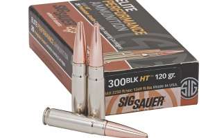 Sig Sauer Elite Performance 300 BLK 120 GR Elite Hunting Solid Copper