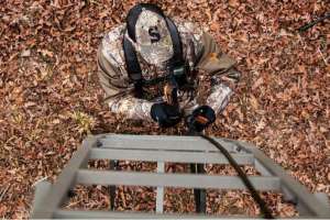 Summit ladder stand