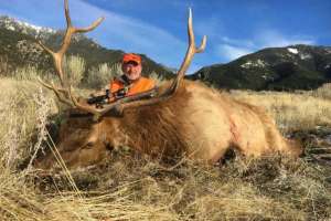 Suppressors 1 Bob Robb Mtn elk