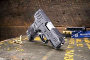 Taurus G3c new beauty