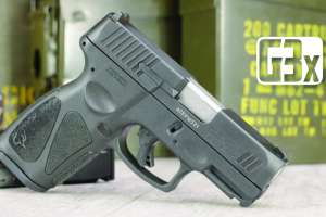 Taurus copy 2