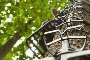 Treestands and Ground Blinds beauty