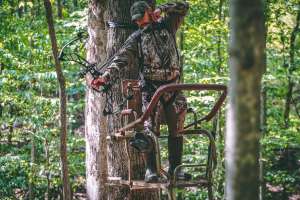 Trophy Treestands beauty