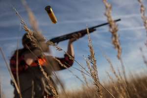 Upland shotgun