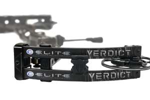 Verdict Limbs cropped