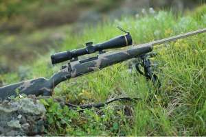 Weatherby Mark V Backcountry