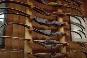 Bear recurve bows on display