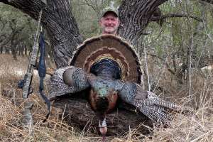 Bob turkey 5 copy