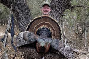 Bob turkey 5