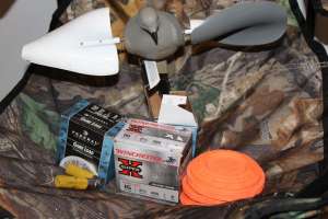 Decoy and shotshells copy