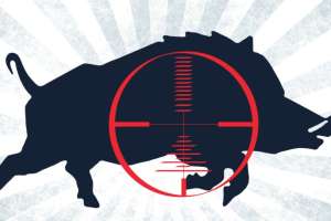 Hog target lead