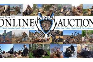 Https www grandviewoutdoors com uploads images PY Online auction