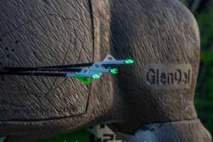 Lighted nocks lead