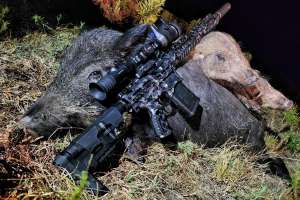 Rifles0201