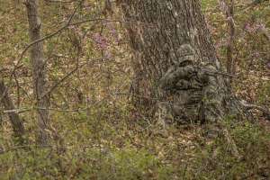 Turkey hunter in camo with tree